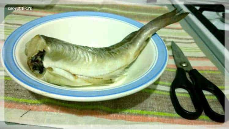 Рыба в тарелке